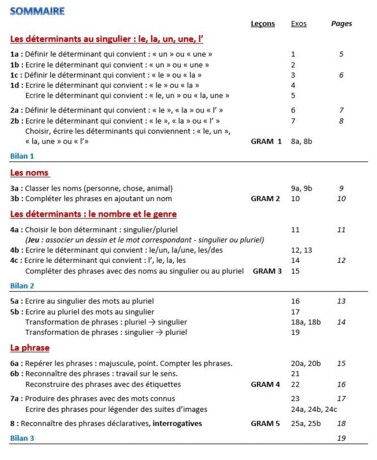 Guide pédagogique pour approche de la grammaire en CP - Ecriture, Etude ...