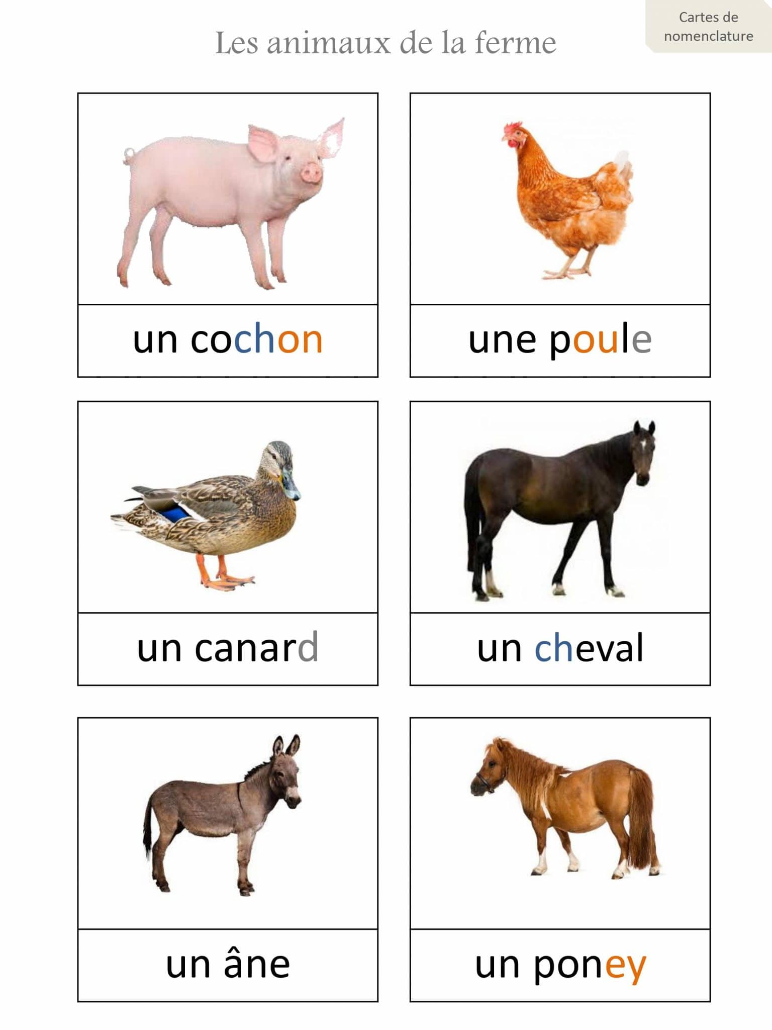 Les animaux de la ferme - Découverte du Monde, Ecriture, Etude de la ...