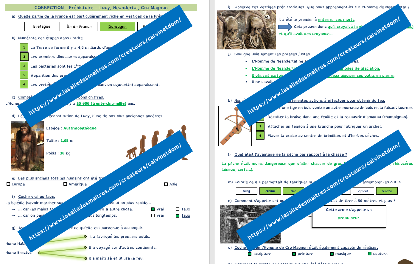 Questionnaire vidéo - C'est pas sorcier : Lucy, Neandertal, Cro-Magnon