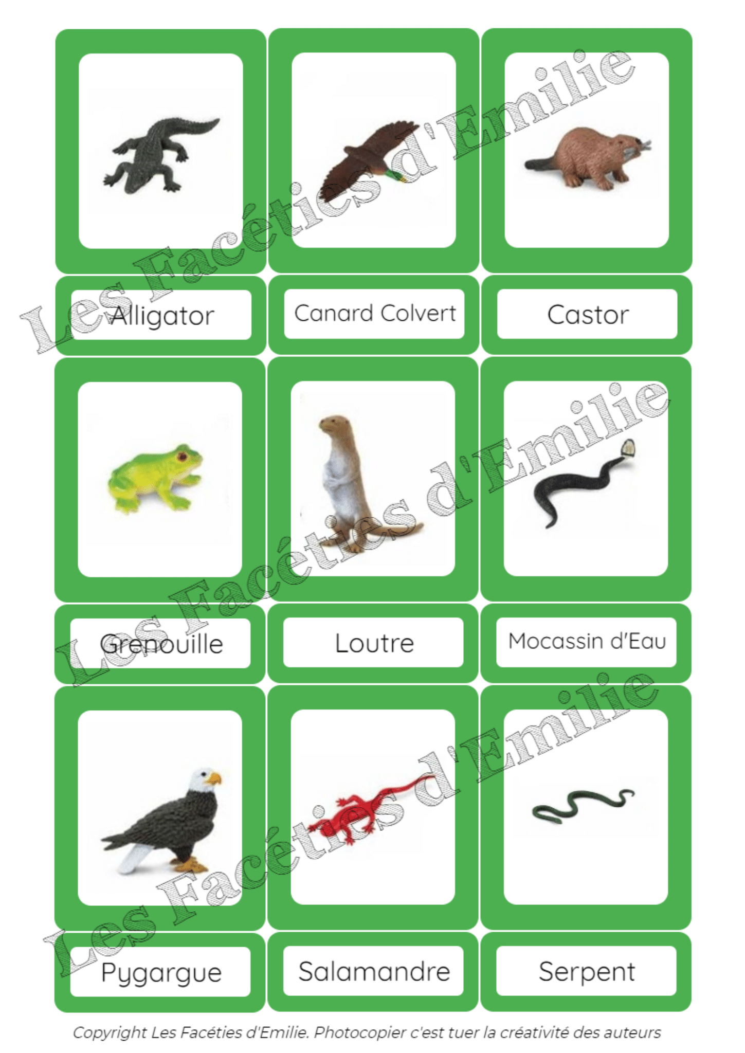 Cartes de nomenclature Les animaux de la rivière - Découverte du Monde ...